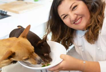 Gratis: il primo libro di alta cucina per cani